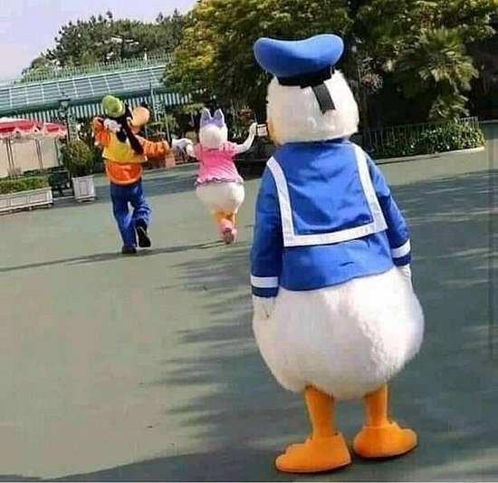 24491.jpg