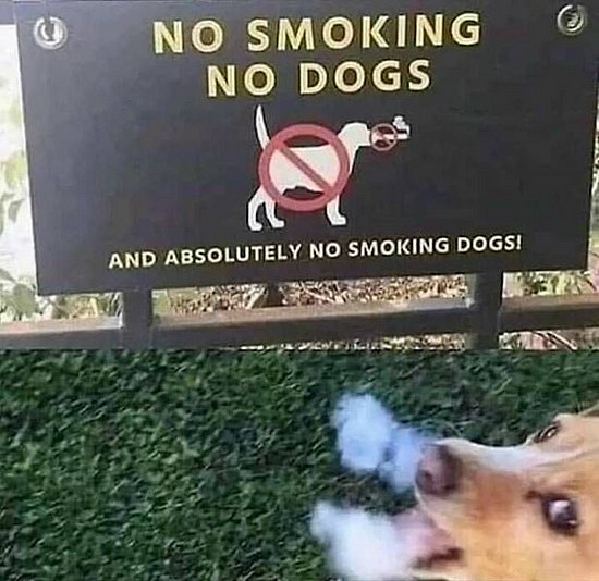 24492.jpg