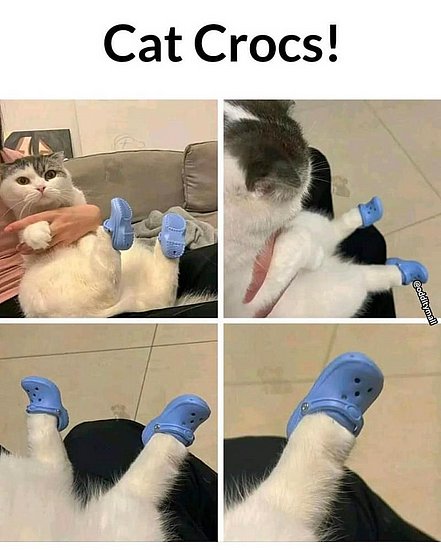24512.jpg