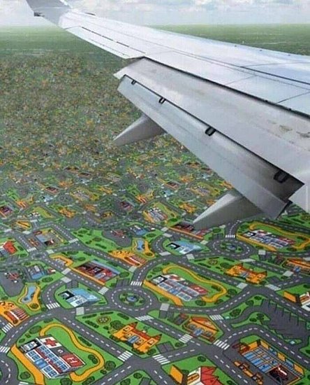 24516.jpg