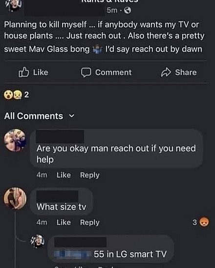 24532.jpg