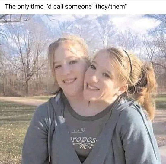 24582.jpg