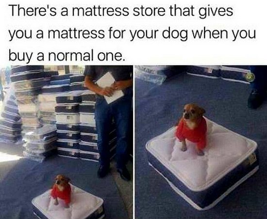 24583.jpg