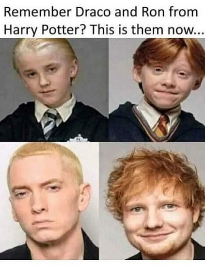 24623.jpg