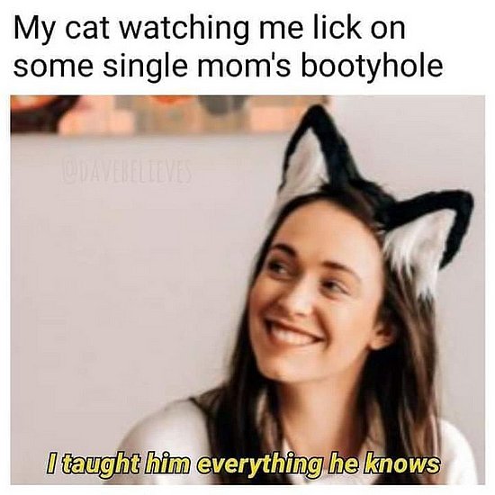 24687.jpg