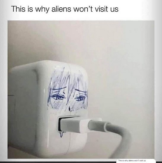 24809.jpg