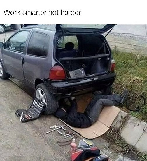 24817.jpg