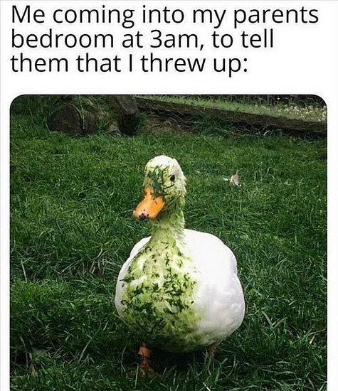 24894.jpg