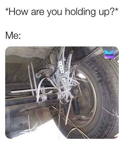 24966.jpg