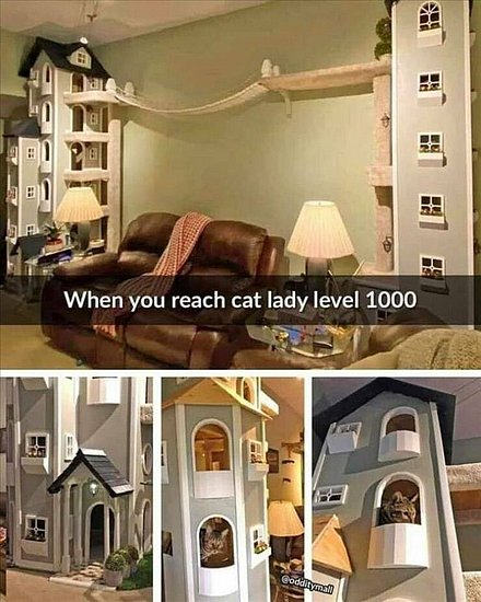 24968.jpg