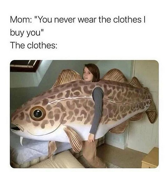 25023.jpg