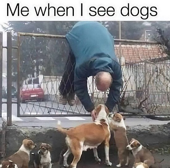 25063.jpg
