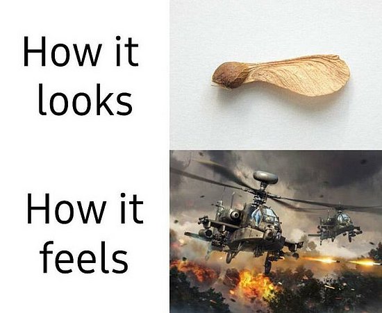 25188.jpg