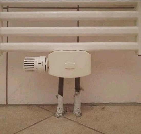 25455.jpg