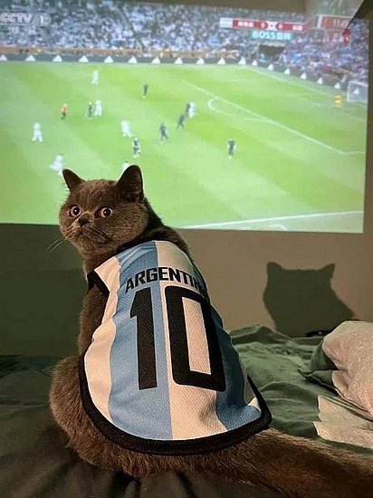 25470.jpg