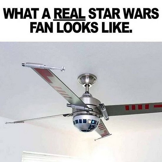 25482.jpg