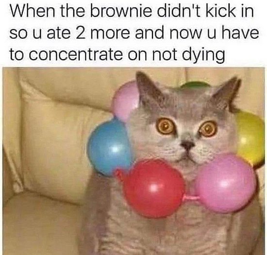 25488.jpg