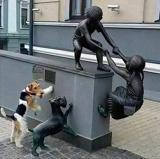 25539.jpg