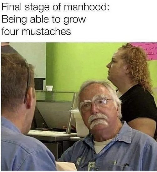25540.jpg
