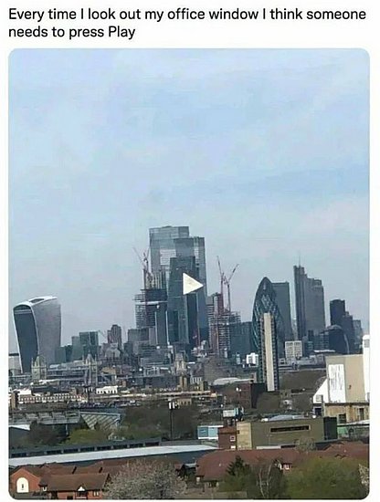 25573.jpg