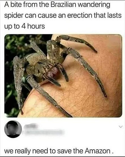 25627.jpg