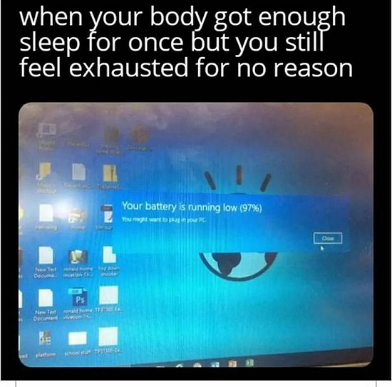 25641.jpg