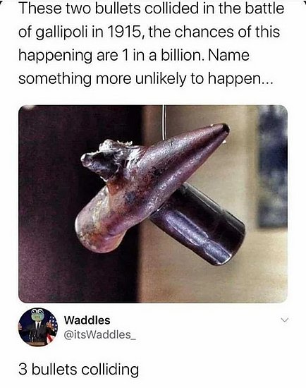 25667.jpg
