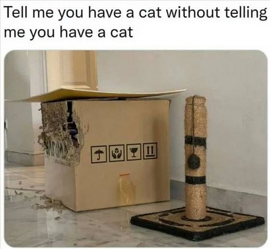 25685.jpg