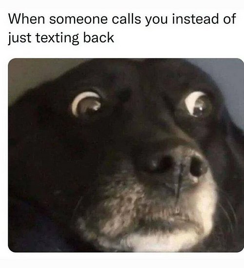 25742.jpg