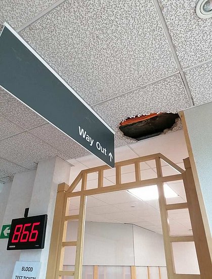 25749.jpg