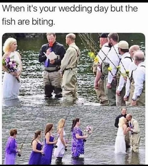 25754.jpg