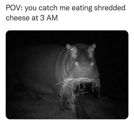 25790.jpg