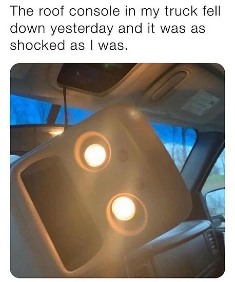 25794.jpg