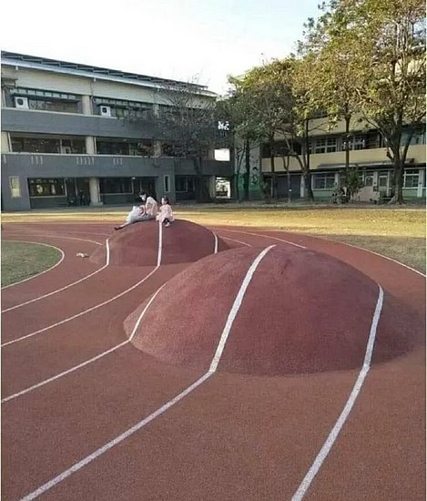 25955.jpg
