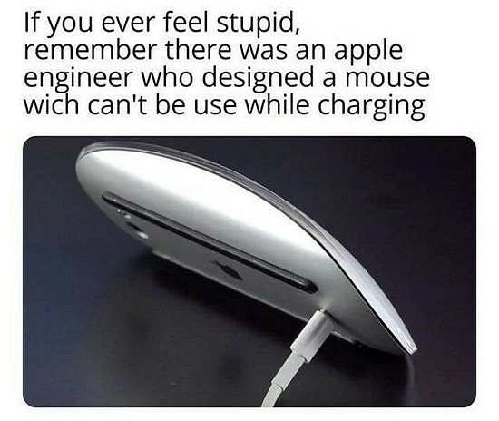 26036.jpg