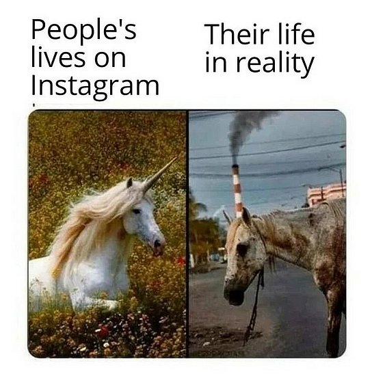 26056.jpg