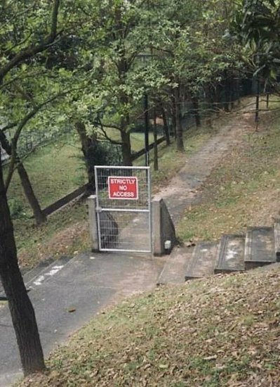 26098.jpg