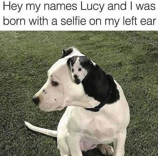 26249.jpg