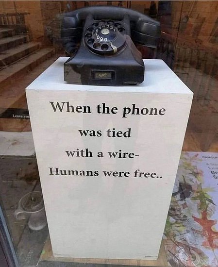 26256.jpg