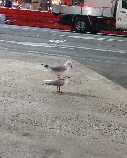 26257.jpg