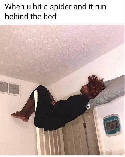26262.jpg