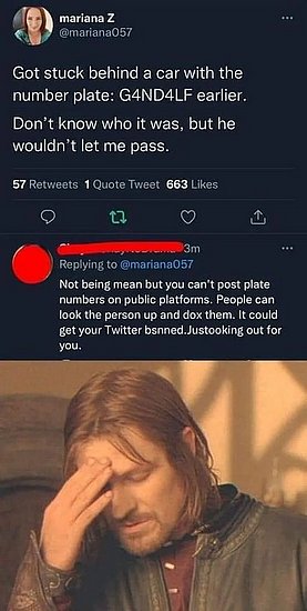 26292.jpg