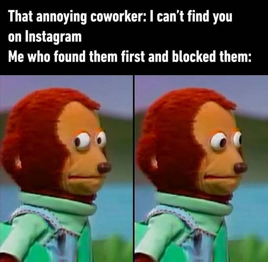 26338.jpg