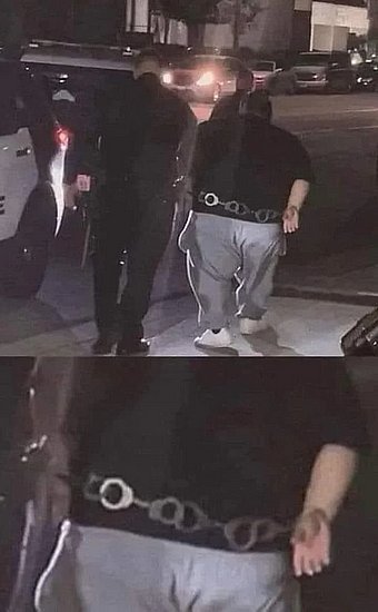 26443.jpg