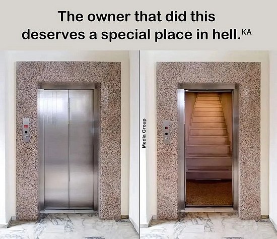 26455.jpg