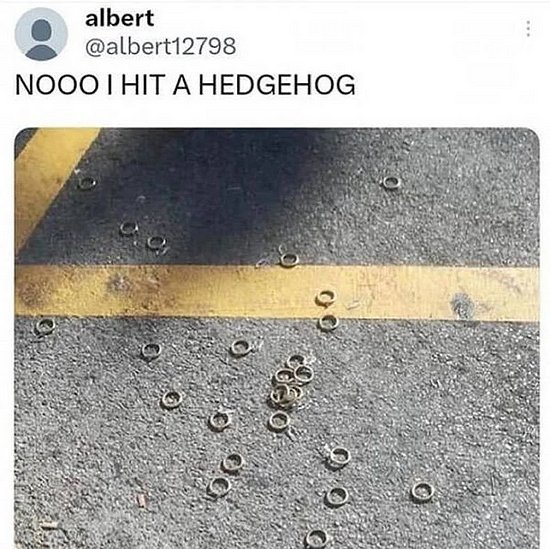 26537.jpg
