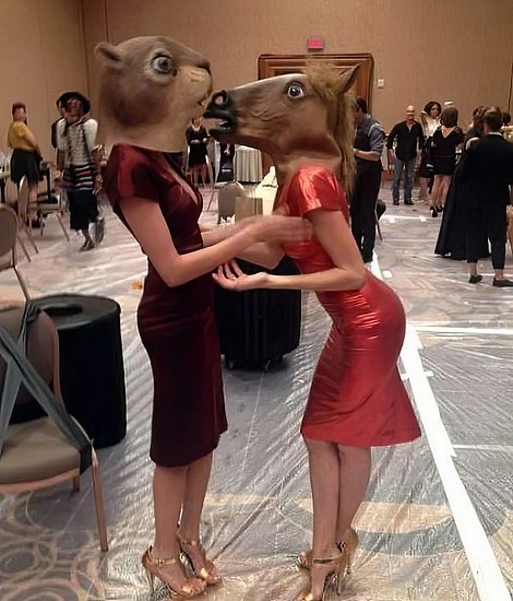 26570.jpg
