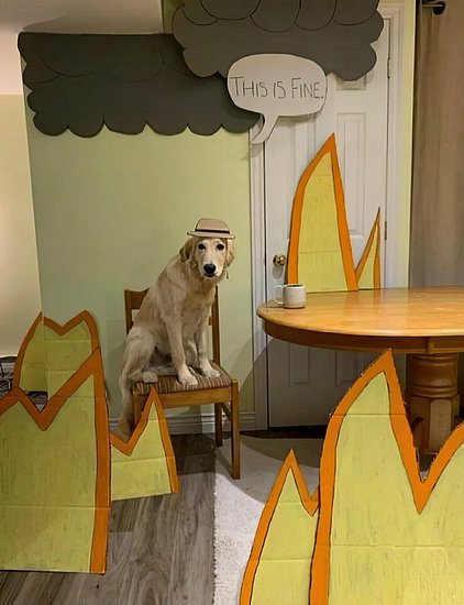 26579.jpg