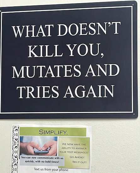 26600.jpg