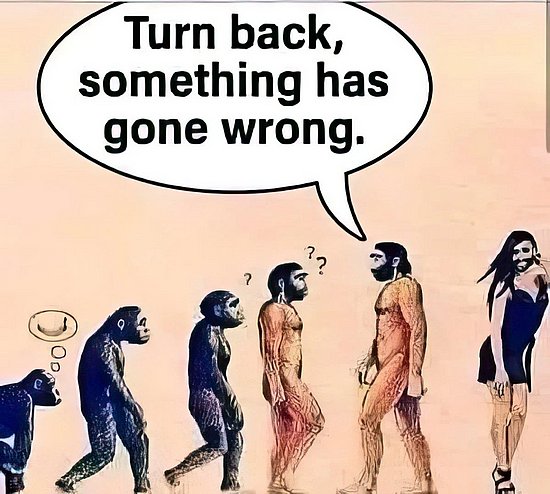 26608.jpg